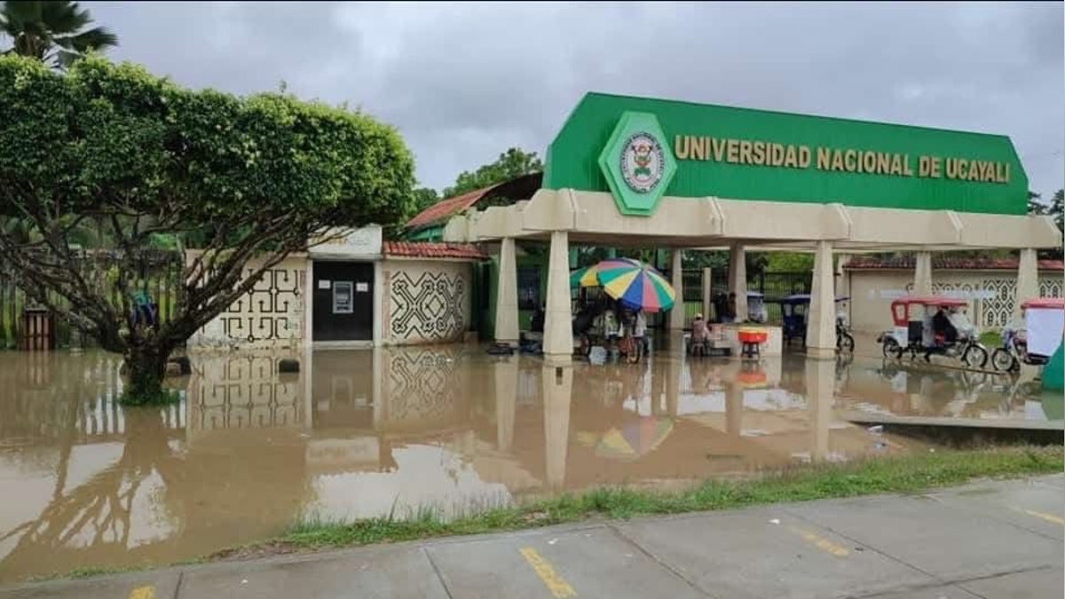 Noticia