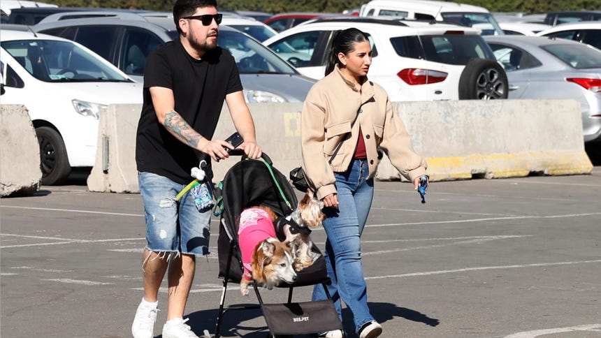 Una pareja chilena pasea un coche con dos de sus mascotas durante una feria en Santiago de Chile. 