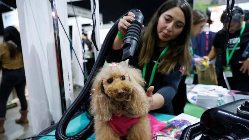 La industria del cuidado animal también ha crecido en Chile. 