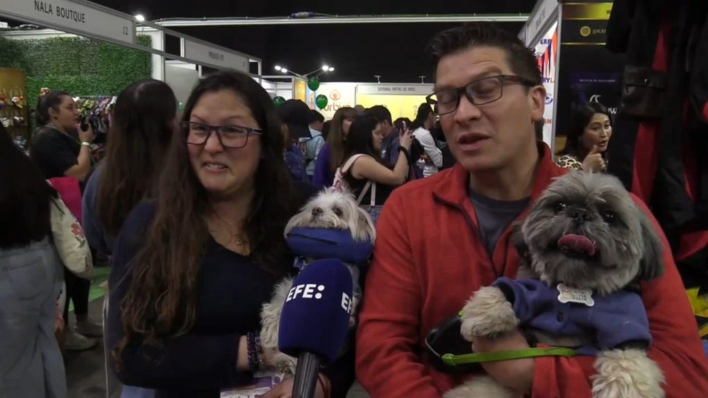 La industria de las mascotas crece en Chile, mientras la natalidad sigue en crisis