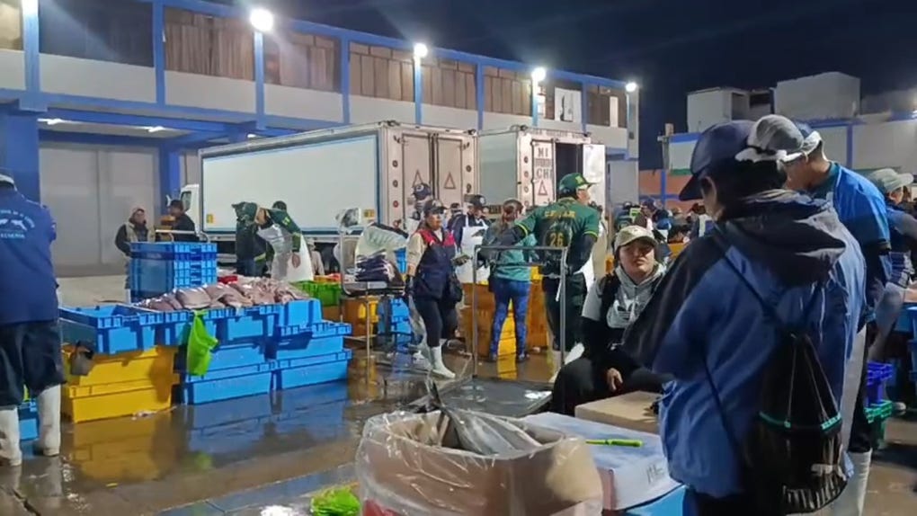 Así va la venta de pescado en diferentes puntos de la región Lambayeque