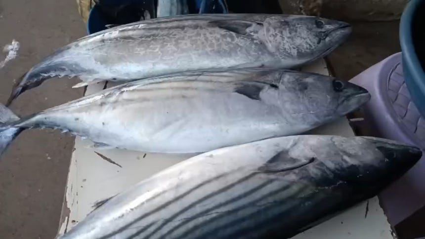 Así va la venta de pescado en diferentes puntos de la región Lambayeque