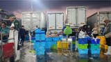 Oleaje anómalo: ¿subió el precio del pescado? Así va la venta en diferentes puntos de la región Lambayeque