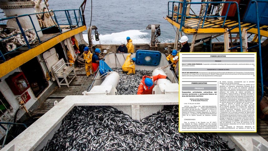 Gobierno paraliza otra vez la temporada de pesca de anchoveta por riesgo al recurso en medio de El Niño Costero