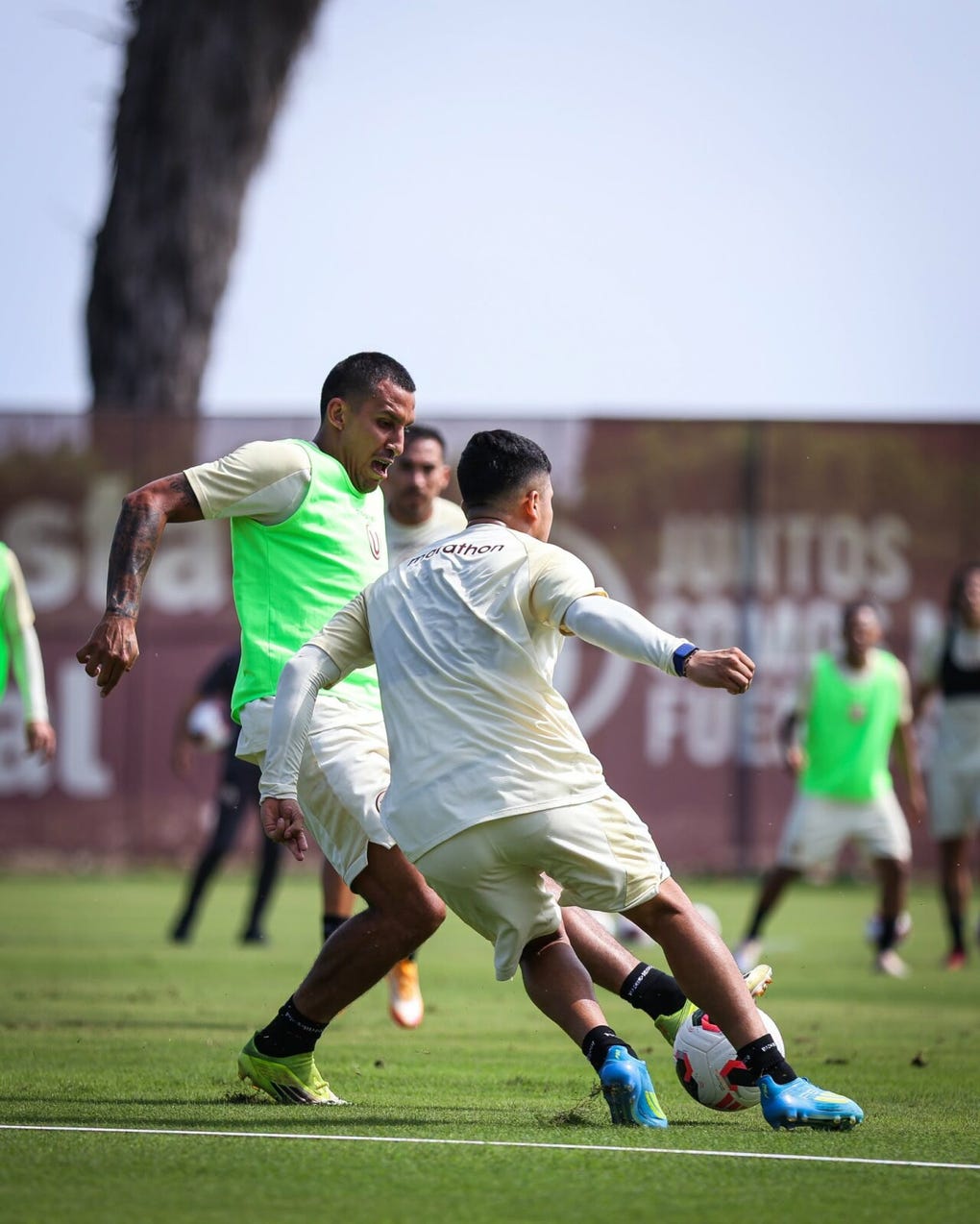 Alex Valera y Jairo Concha.