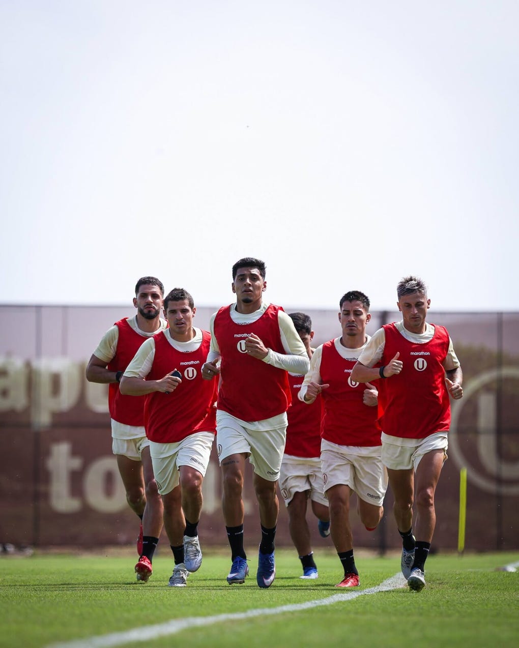 Universitario quedó en el cuaryo lugar en el Torneo Apertura.