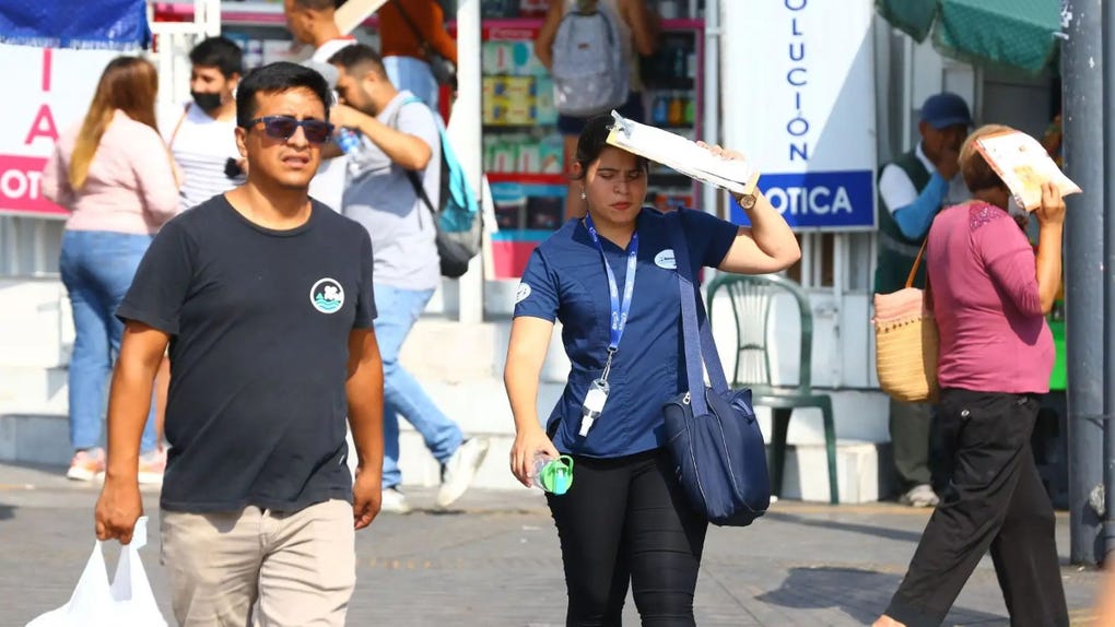 La ola de calor continuará hasta el próximo año, debido al Fenómeno El Niño Costero.