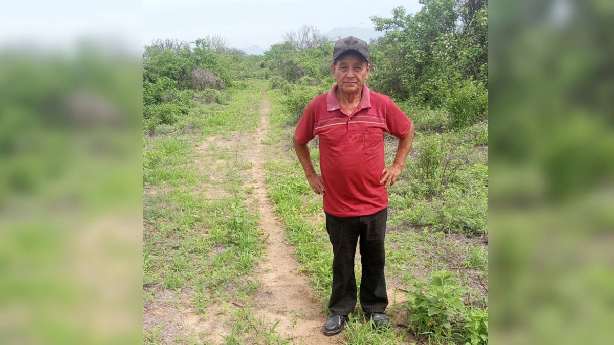Imagen artículo