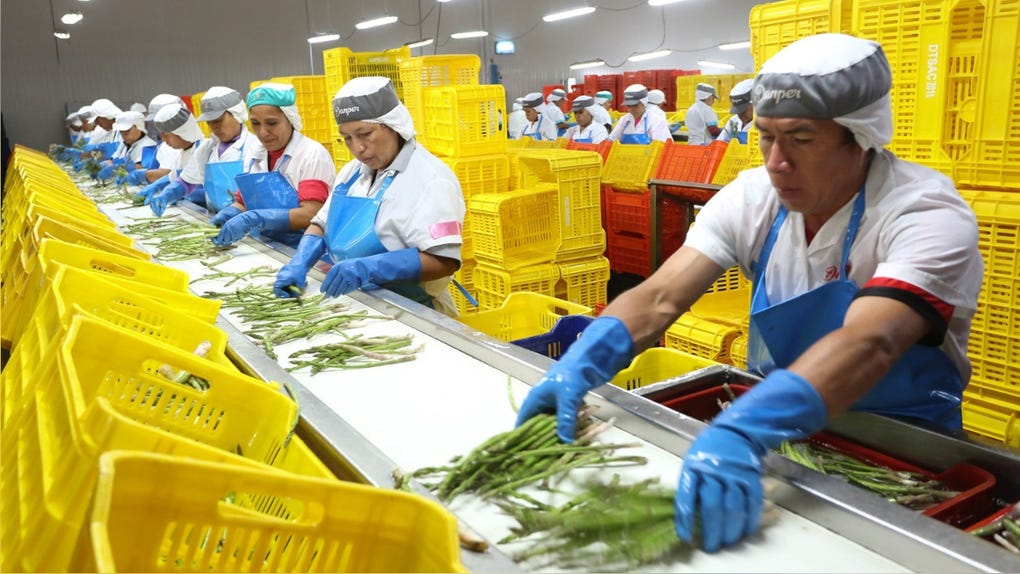Estados Unidos y Holanda encabezan la lista de los principales compradores internacionales.