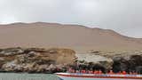 Paracas: Capitanía de Puerto suspende salidas de lanchas turísticas a las islas Ballestas por fuertes vientos y oleajes
