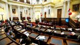 ¿Quiénes integran el Senado 2026-2031? El perfil de los 60 legisladores