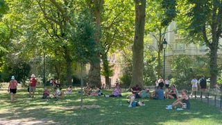 Francia vive este miércoles el día más caluroso jamás registrado en el país con temperaturas sobre 40 °C