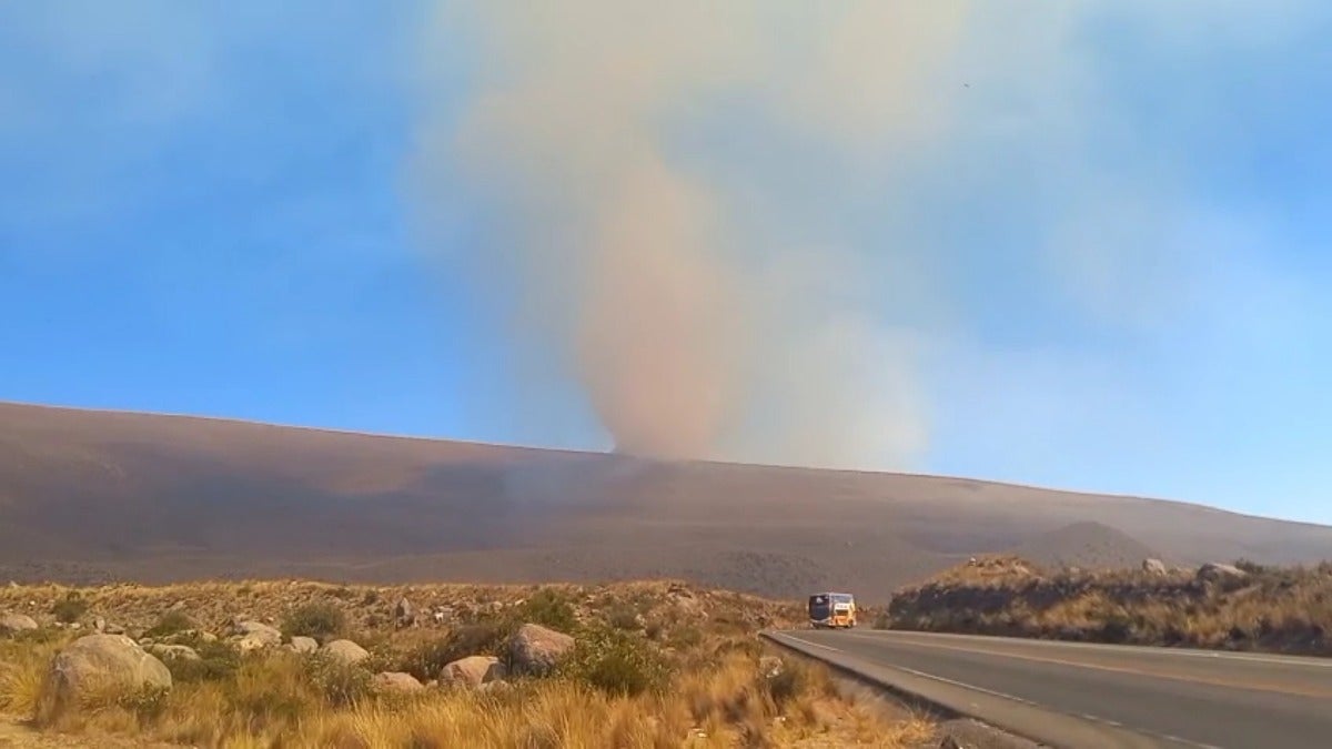 El fuego ha consumido toda la flora y fauna que hay en este lugar