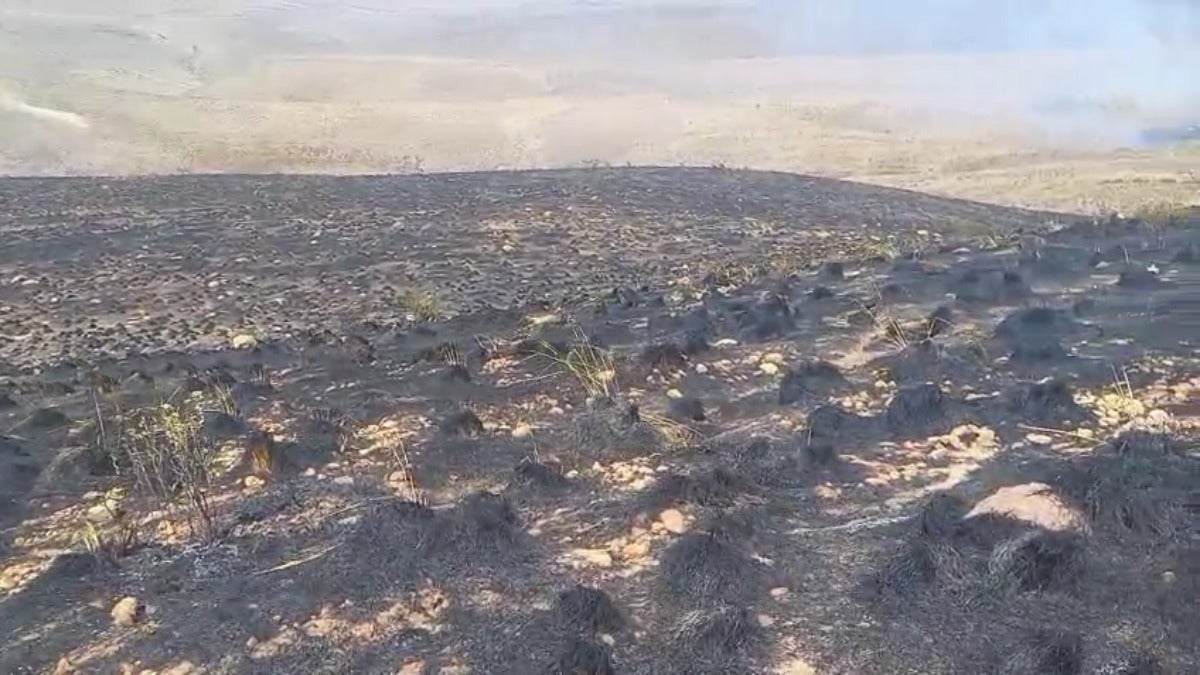 En el video se ve a toda la vegetación consumida totalmente por el fuego