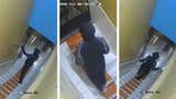 Extorsionador dejó cartucho de dinamita en hostal de Carabayllo [VIDEO]