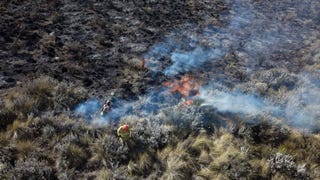 Arequipa: al menos 800 hectáreas afectadas por incendio forestal en la Reserva Nacional de Salinas y Aguada Blanca