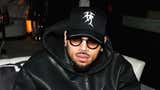 Chris Brown deberá pagar 13 millones de dólares por ataque de su perro a empleada doméstica