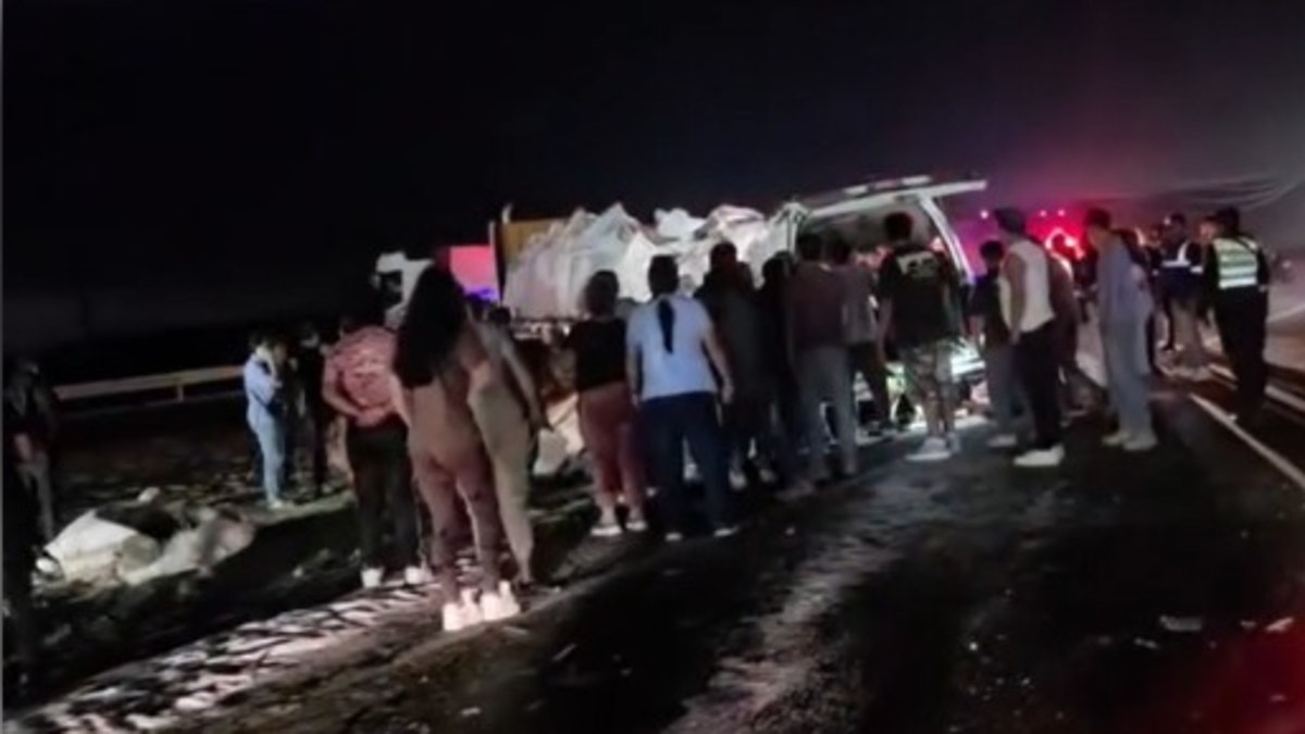 Barranca: siete fallecidos deja choque de miniván contra tráiler en Panamericana Norte
