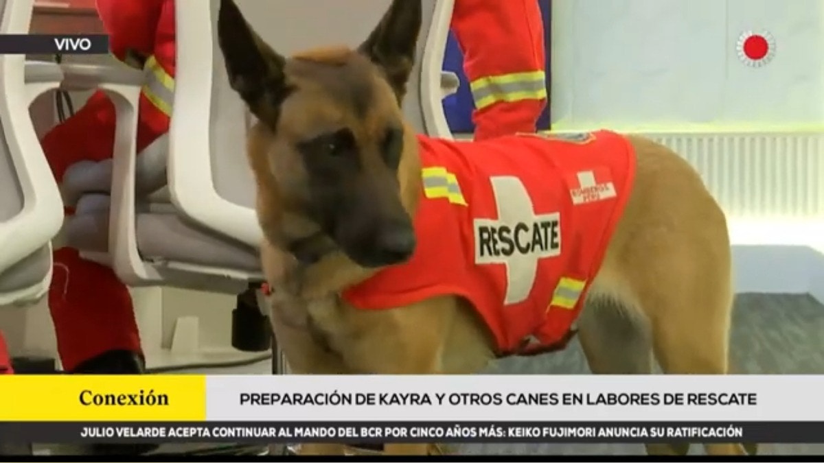 Noticia