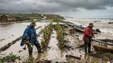 Impacto de El Niño Costero puede ser 