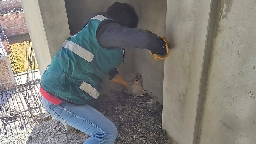 Uno de los ejemplares rescatados fue liberado en una zona segura. 