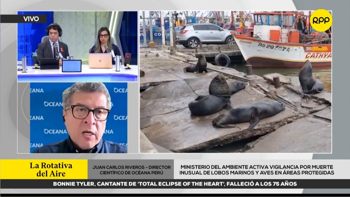 Noticia