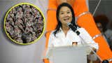 Rastrillajes por las FF.AA. y modificaciones al Código Penal: Keiko Fujimori da detalles de su plan contra el crimen organizado