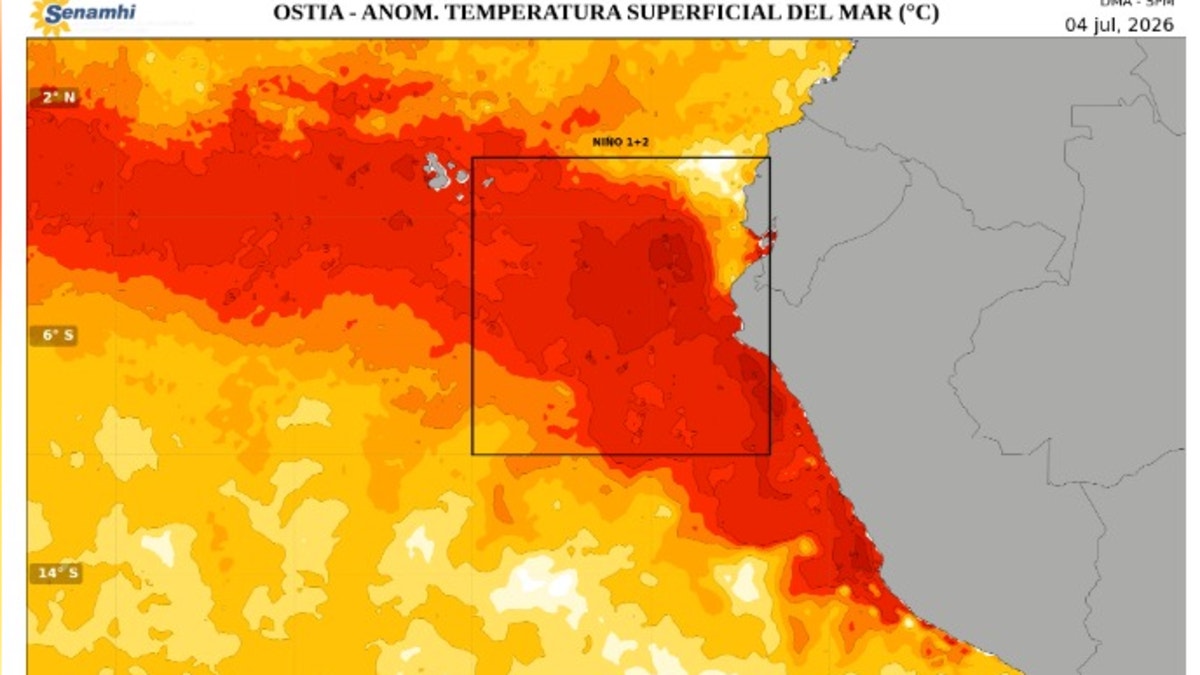 Noticia