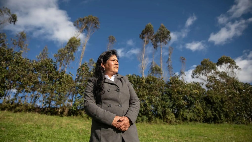 Lilia Paredes se encuentra asilada en México.