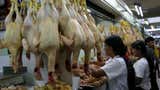 El precio del pollo se encarece: subió 27% en un mes y supera los S/11 el kilo en los mercados de Lima