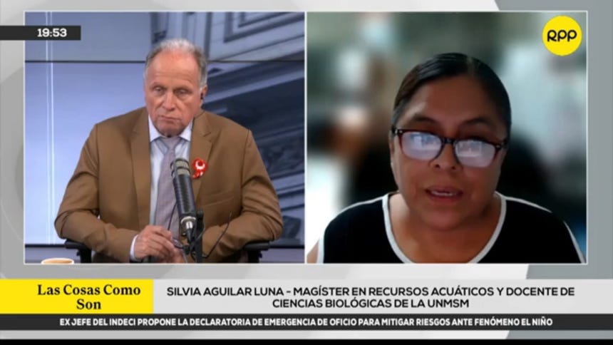 Alerta en el mar peruano: Anchoveta se aleja y especies de aguas cálidas invaden la costa.