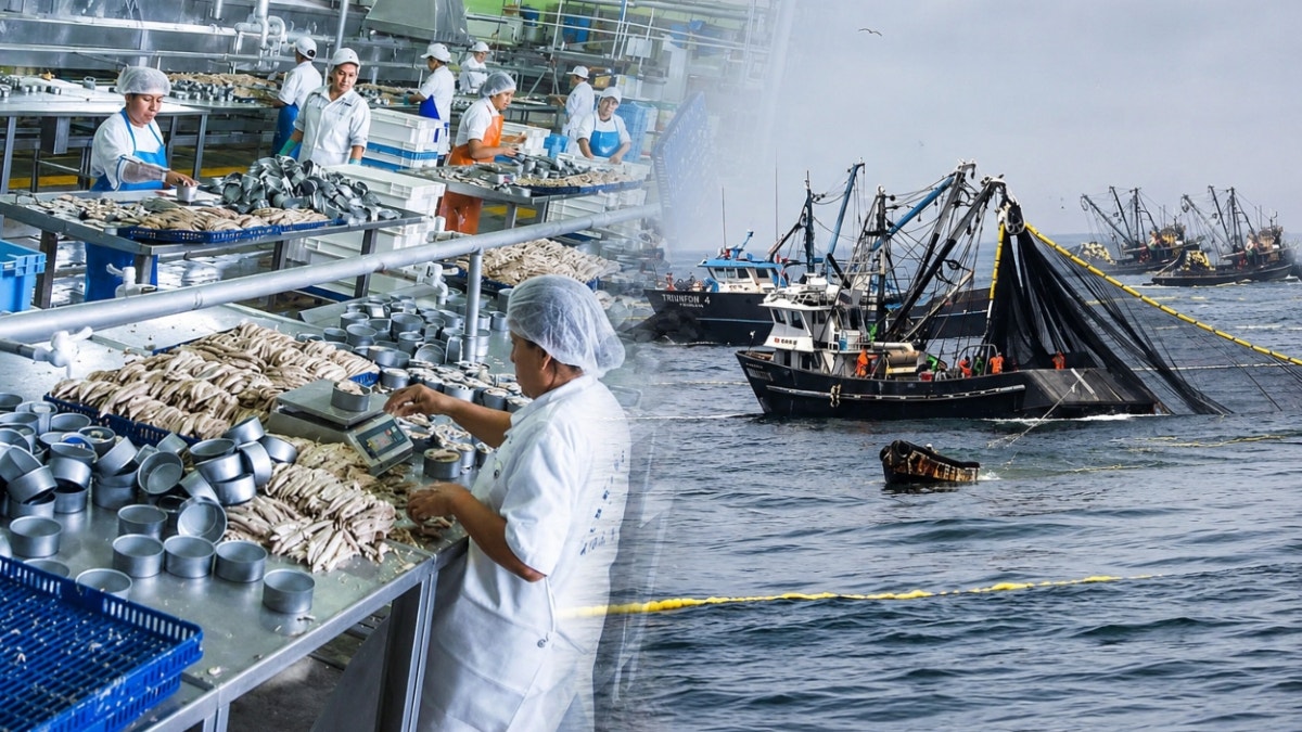 Fenómeno El Niño ya impacta en la economía peruana: PBI arroja su peor resultado del año por fuerte caída de la pesca e industria