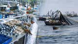 Fenómeno El Niño Costero ya impacta en la economía peruana: PBI arroja su peor resultado del año por fuerte caída de la pesca e industria