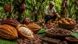 ¿Subirá el precio del chocolate? Fenómeno El Niño dispararía el cacao hasta US$10.000 por tonelada: la oportunidad que se abre para el Perú