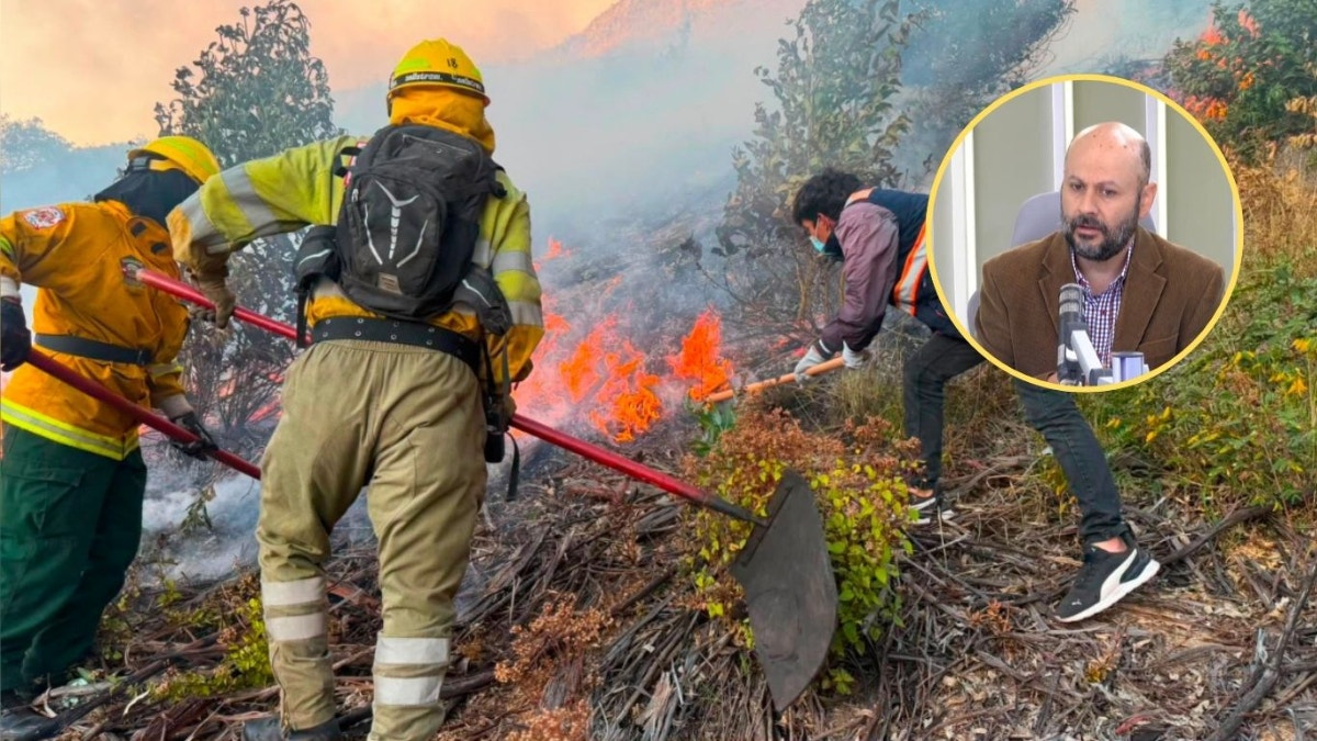 Estudio alerta riesgos de incendios forestales en la Amazonía peruana por efectos del Fenómeno El Niño Costero