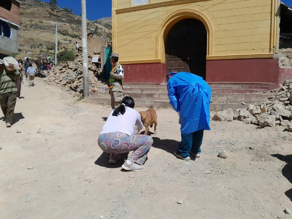 Personal y ciudadana atiende a una mascota afectada por el sismo, ya que algunos animales huyeron del lugar tras el movimiento sísmico.