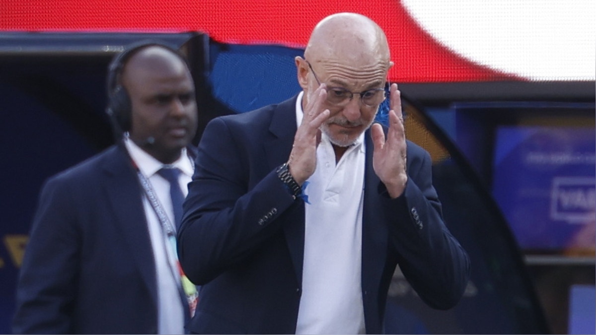 Luis de la Fuente emocionado tras ganar el Mundial con España: “Juntos somos más fuertes”