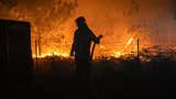 España declara emergencia nacional por incendios forestales; 44 000 evacuados en Francia por el fuego