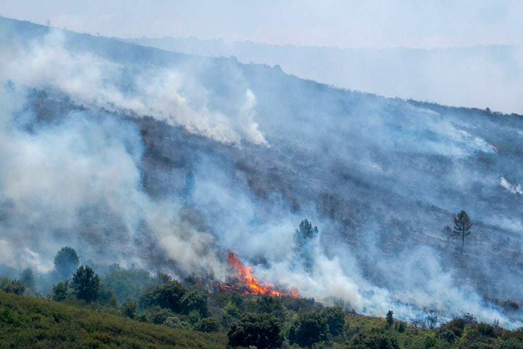 El incendio de La Mierla, en Guadalajara, se encuentra fuera de su capacidad de extinción y está lejos de ser controlado, mientras suma ya 32 pueblos evacuados con unas 1.200 personas afectadas y el dispositivo está centrado en proteger a las poblaciones.
