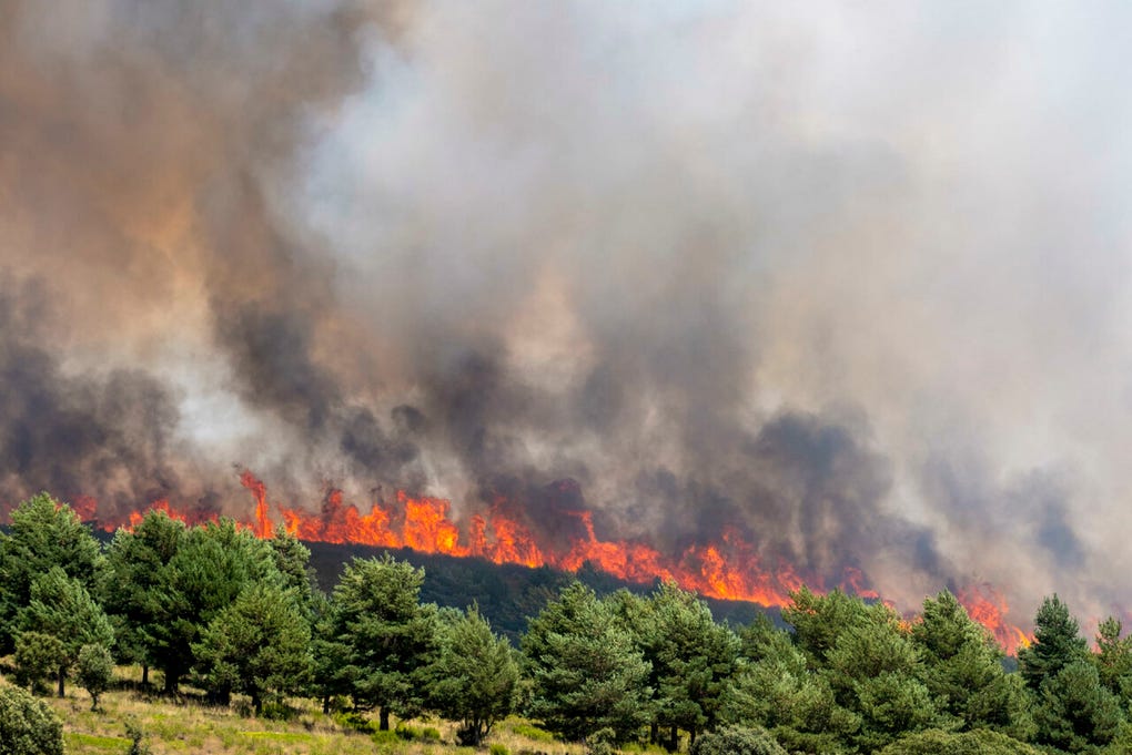 En Francia, 20.000 personas han sido evacuadas en las últimas 24 horas, mientras que en España 100.000 hectáreas de vegetación han sido carbonizadas en el transcurso del año.