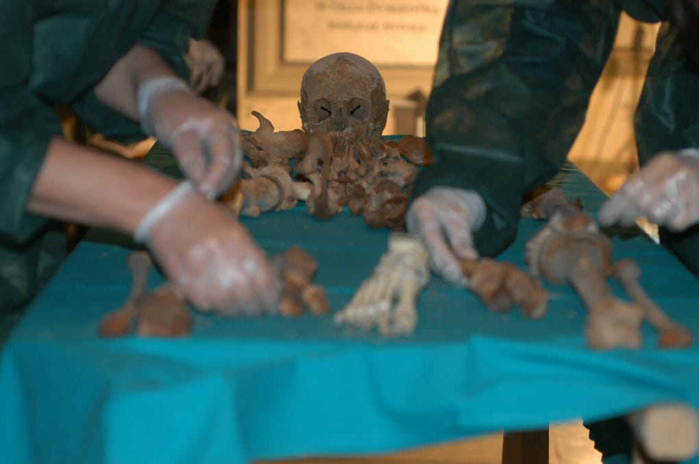 Durante siglos, la muerte del gran duque de Toscana Francisco I de Medici y de su esposa, Blanca Cappello, alimentó una de las leyendas más oscuras del Renacimiento: su envenenamiento a manos de su hermano Fernando. Ahora, un nuevo análisis de ADN apunta que, en realidad, ambos murieron de malaria.