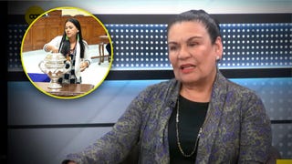 Bonifaz sobre elección en el Senado: 