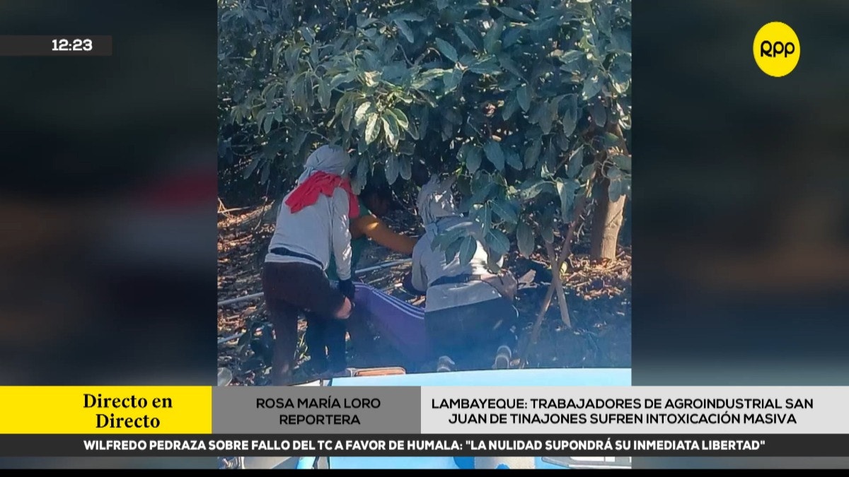 Noticia