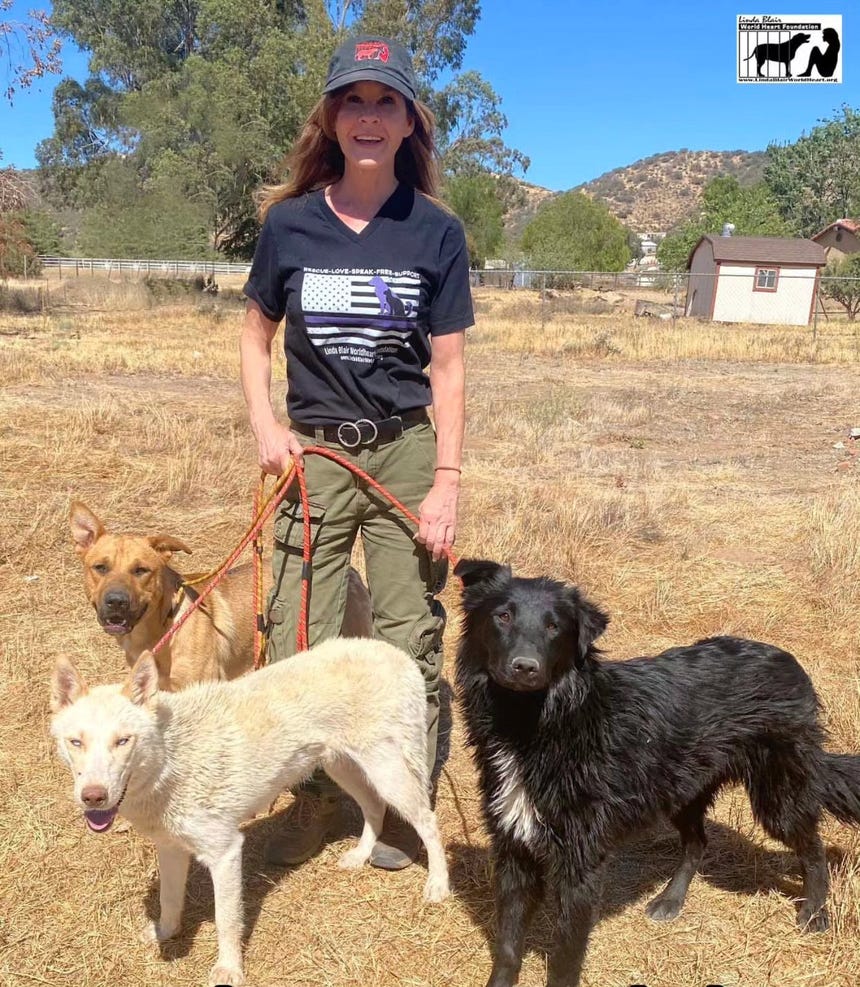 En 2003 Linda Blair fundó la organización sin fines de lucro 'Linda Blair WorldHeart Foundation', dedicada a rescatar y rehabilitar animales maltratados, descuidados y abandonados.