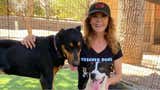 Investigan a Linda Blair por presunta crianza ilegal de perros en su casa: actriz de 'El Exorcista' se pronuncia