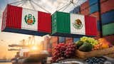 Perú y México retoman lazos diplomáticos, pero el comercio nunca se detuvo y ya supera los US$1.300 millones: ¿Qué agenda económica se puede abrir?