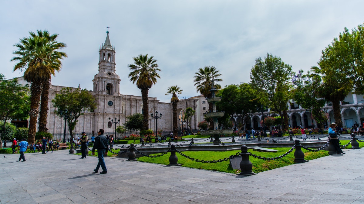 Imagen artículo