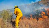 Áncash: incendio forestal afecta 38 hectáreas de cobertura natural en Jangas