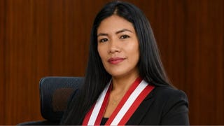 Todo lo que se sabe sobre el escándalo que implica a la diputada Catherin Palomino y a Pedro Castillo