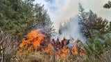 Cajamarca: incendio forestal se mantiene activo en Granja Porcón